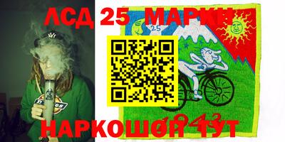 ГАЛЛЮЦИНОГЕННЫЕ ГРИБЫ Коммунар