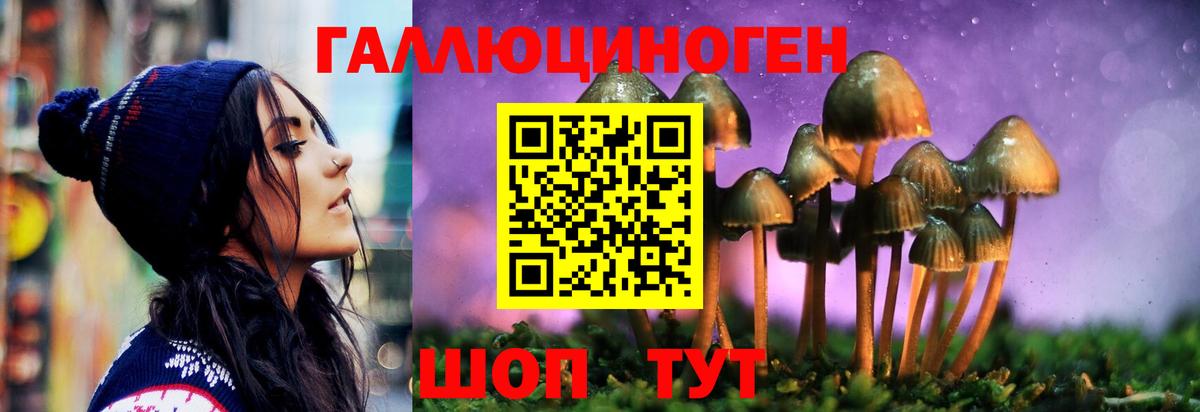 Киселёвск  Галлюциногенные грибы Cubensis  Вход с VPN  Галлюциногенные грибы Psilocybe 